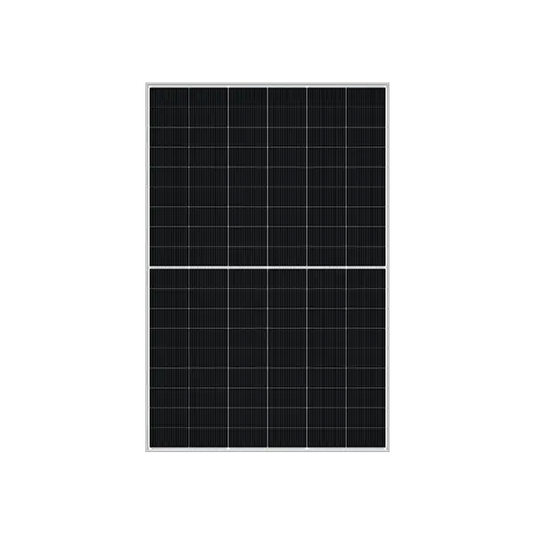 Panel solar DMEGC DM450M10RT