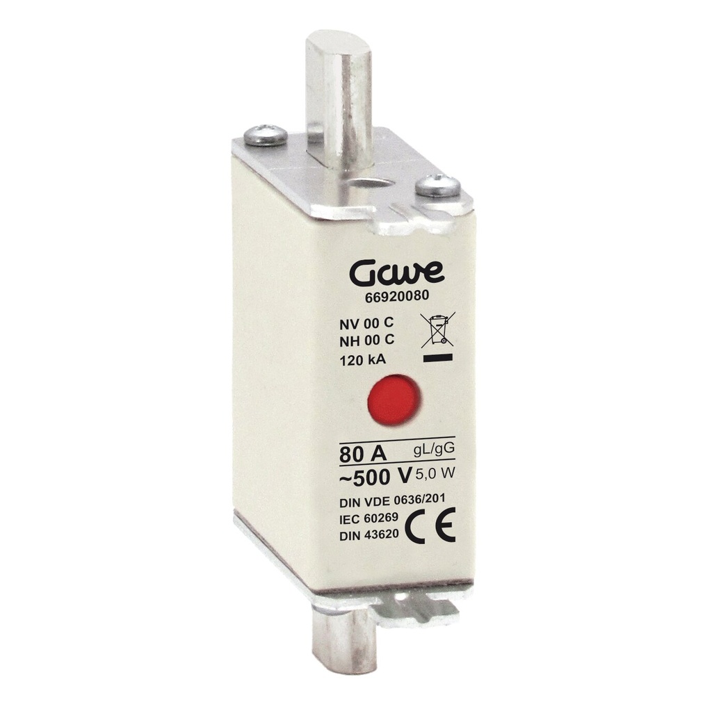FUSIBLE NH IND.FUSION GAVE 80A.GG T000