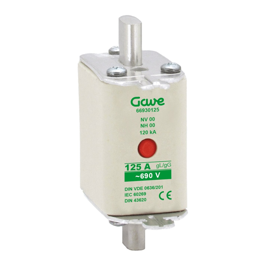 FUSIBLE NH IND.FUSION GAVE 125A.AM T00