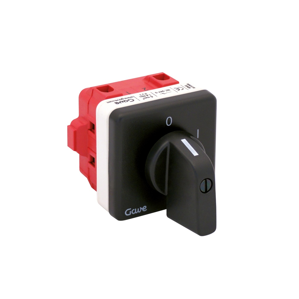 INTERRUPTOR 2P GAVE 25A.D1 MANDO FIJACION POR TORNILLO