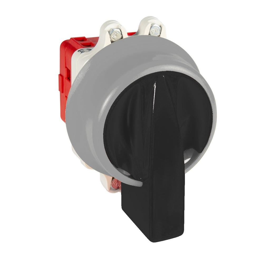 INTERRUPTOR 2P GAVE 40A.D1 MANDO BLOQUEO CANDADO IP69K NEGRO/GRIS