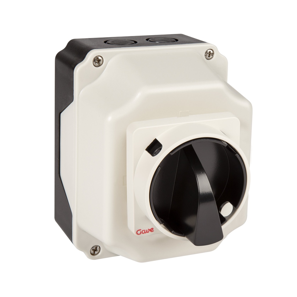 [AC5531007] INTERRUPTOR GAVE 4P.16A. EN CAJA IP65