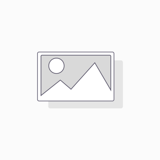 FUSIBLE CILINDRICO   45A.AM T1