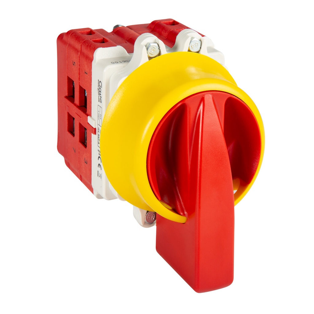 [AB5539100H] INTERRUPTOR 4P 125A.D2 MANDO BLOQUEO CANDADO IP69K